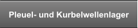 Pleuel- und Kurbelwellenlager